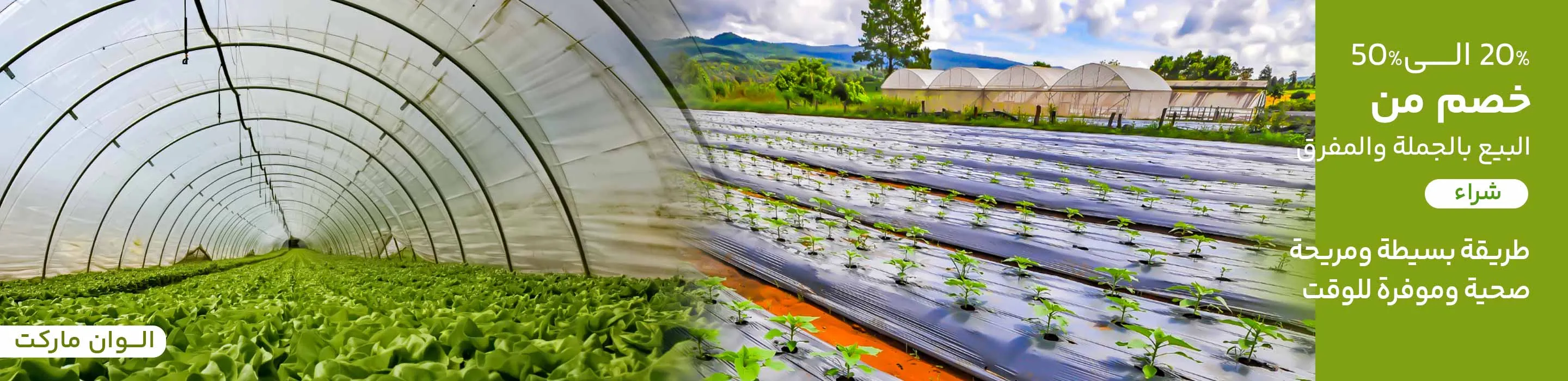 نايلون عريض وبناء