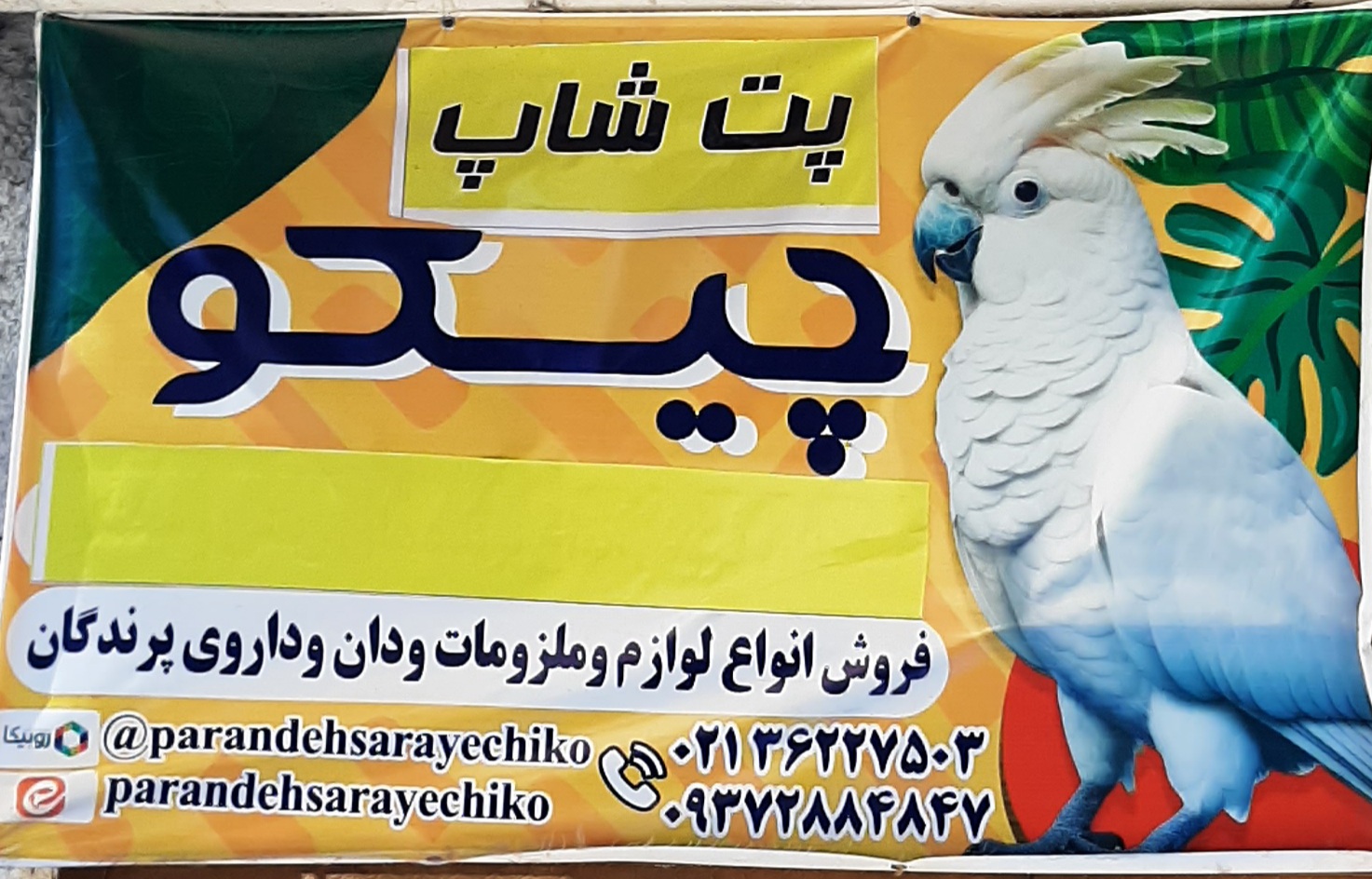 فروشگاه بین المللی الوان مارکت