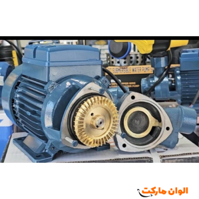 پخش  پمپ آب 1اسب برند لوکو ایتالیایی PM80 کد P118 تک و عمده