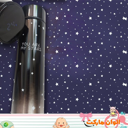 Buy-smart-flask-model-star-e-codeg3709