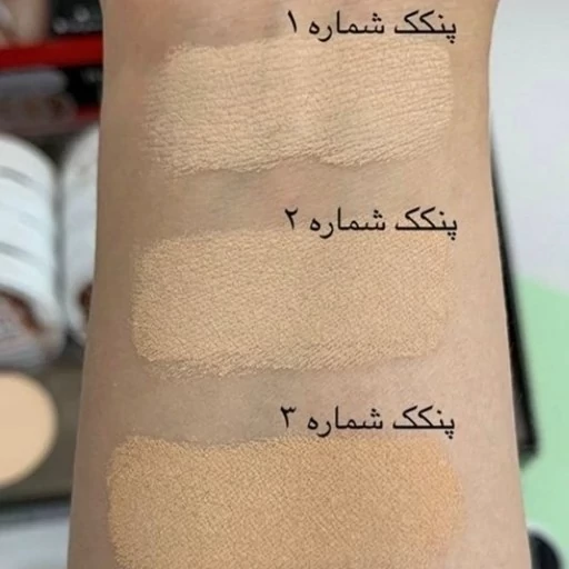 پخش عمده پنکیک گابرینی کد P258