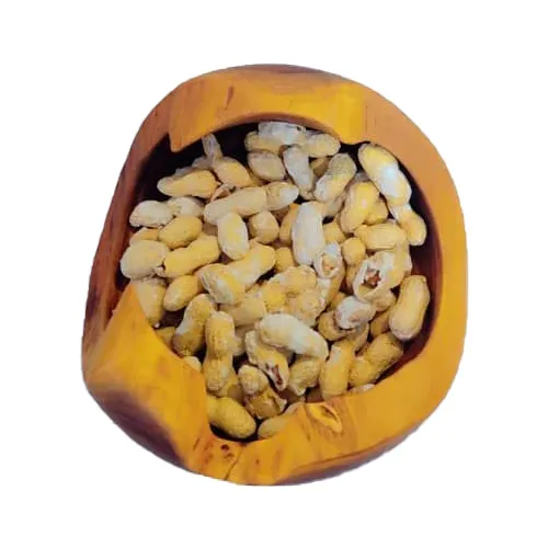 Buy-chocolate-eating-model-wood-kahor-code-g4003