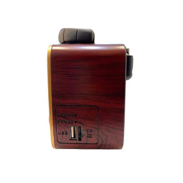 Buy radio Goloon code z1077