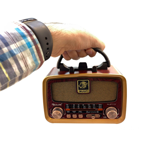 Buy radio Goloon code z1077