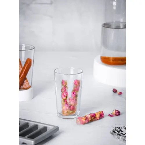 New model capsule ice mold, single and major code