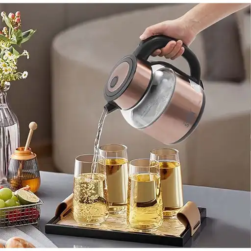 Win Star Electric Kettle