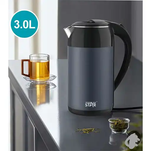 Win Star Electric Kettle 3L