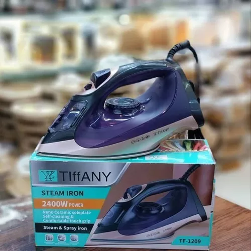 Tiffany-steam-iron-model-tf1209-single-and-major-