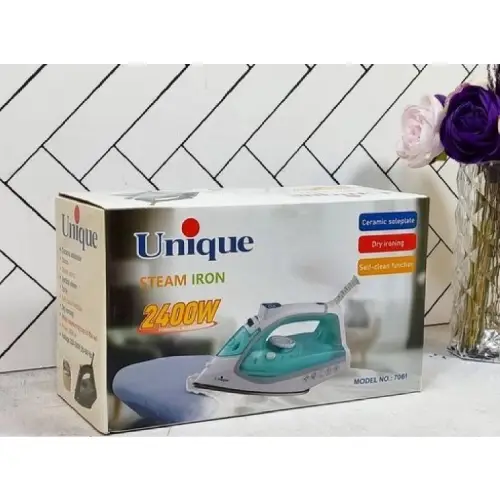 Unique-Steam-Iron-Model