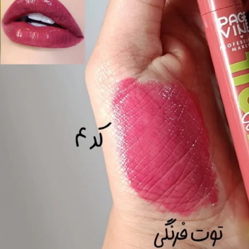 خرید لیپ پلامپر Page Vine مدل Fat Oil تک و عمده کد Z2189