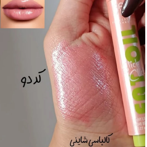 خرید لیپ پلامپر Page Vine مدل Fat Oil تک و عمده کد Z2189