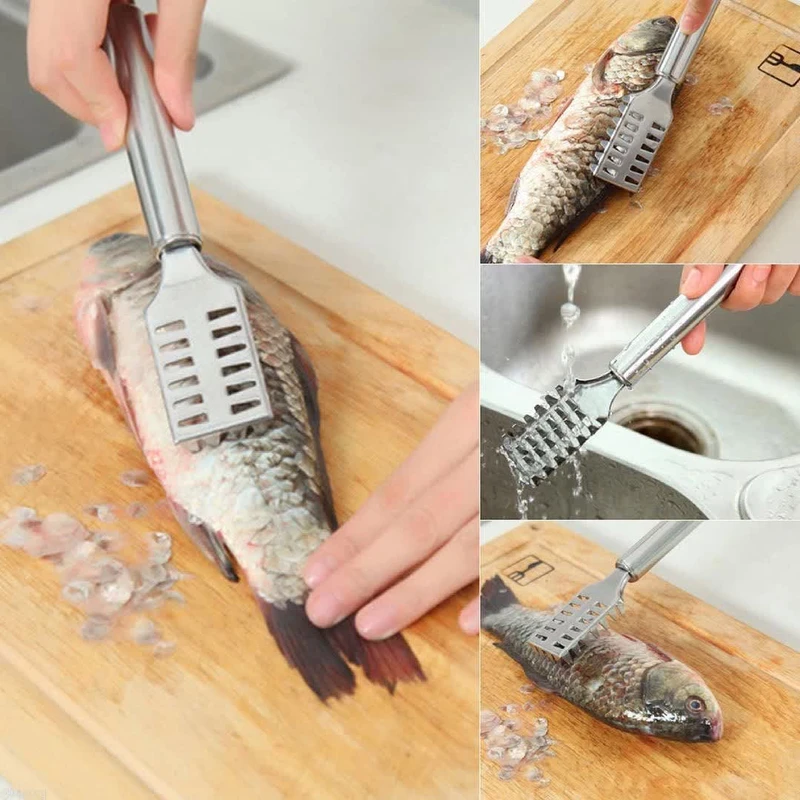 خرید-پولک-گیر-ماهی-کد-z2509