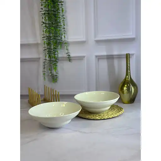 پخش-عمده-کاسه-پاستا-سالادی-سزار-ری-اکتیو-تک-و-عمده-کد-l1153