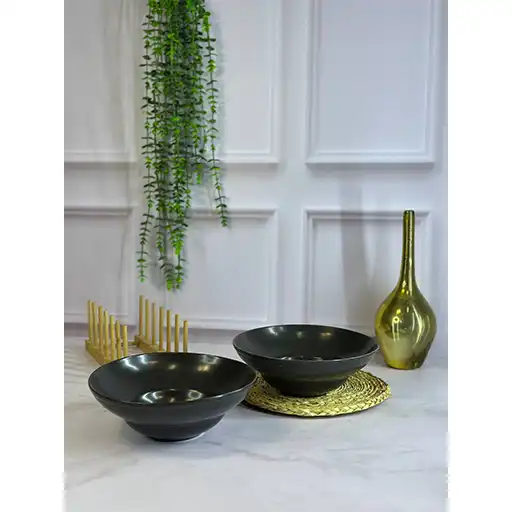 پخش-عمده-کاسه-پاستا-سالادی-سزار-ری-اکتیو-تک-و-عمده-کد-l1153