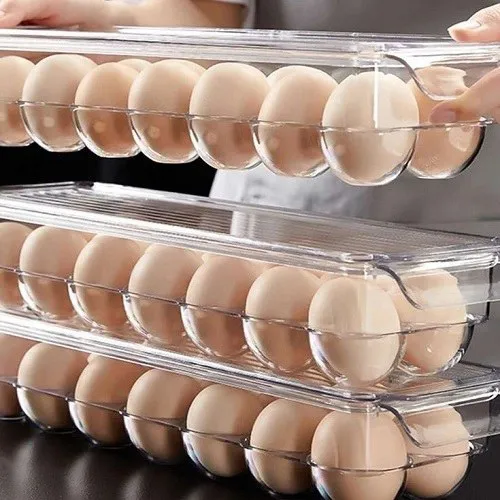 Chicken-egg-holder-new-model-code-g5708