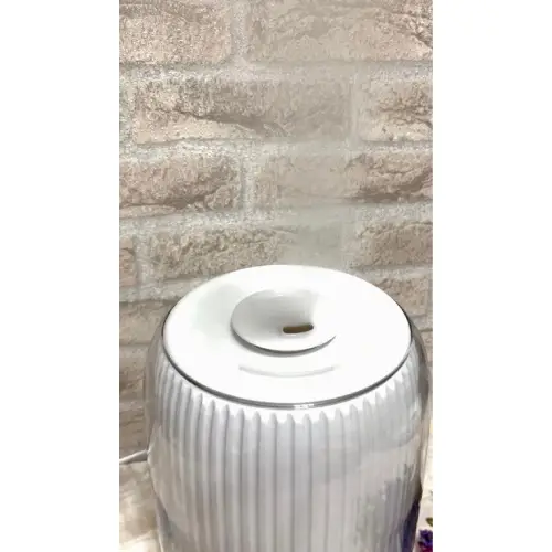 پخش-دستگاه-بخور-سرد-دی-اس-پی-ظرفیت-۴-لیترکد-e1518-تک-و-عمده