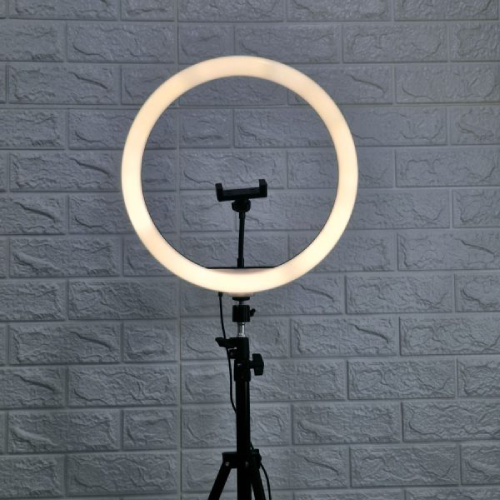 پخش-رینگ-لایت-کد-z2778