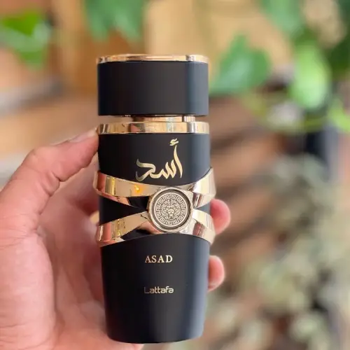 خرید-ادکلن-۲۵میل-وایکینگ-اسدکد-b809