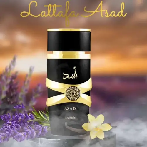 پخش-ادکلن-۲۵میل-وایکینگ-اسد-کد-b810