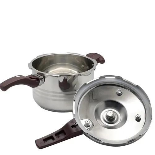 پخش-زودپز-مدل-جدید-کد-g6089