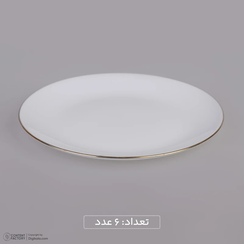 پخش-سرویس-غذاخوری-دینو-کد-z2976