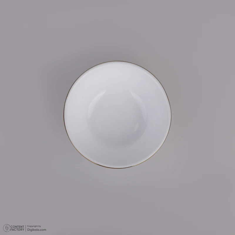 پخش-سرویس-غذاخوری-دینو-کد-z2976