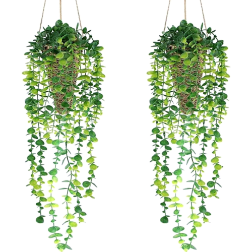 پخش-بوته-آویز-شمشاد-کد-z3068