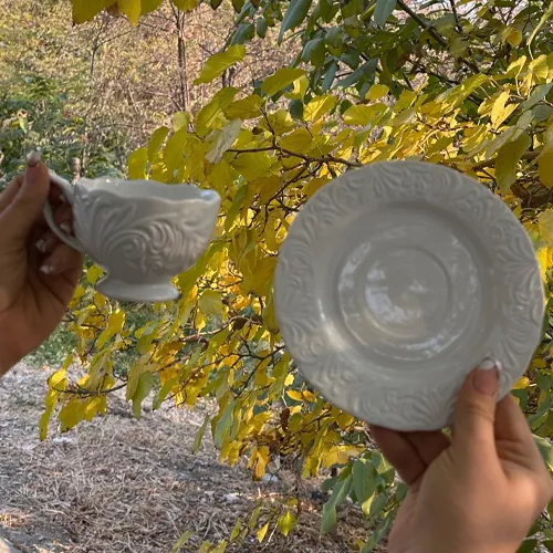 چای-خوری-مدل-جدید-کد-g6448