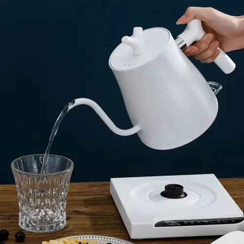 Electric kettle-hr-462-single-and-major-code-f1249