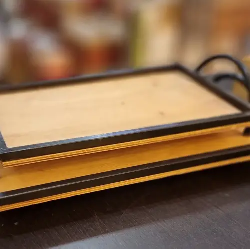 پخش-سینی-مستطیل-دسته-فلزی-متوسط-کد-r396