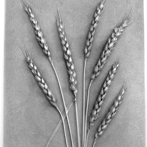 خرید-خوشه-گندم-کد-z3307