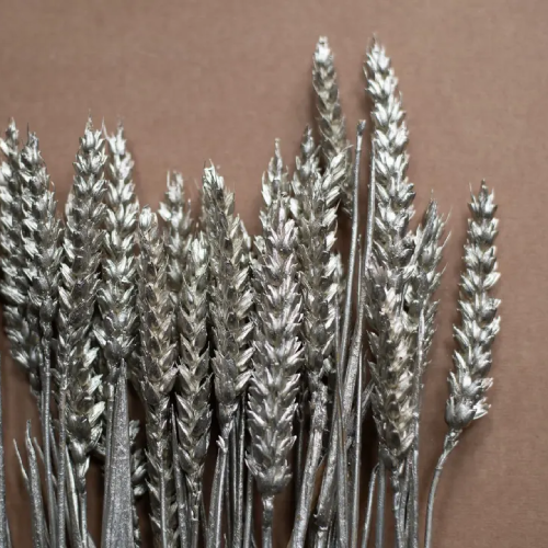 خرید-خوشه-گندم-کد-z3307