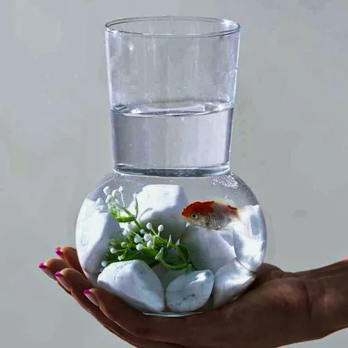 پخش-گلدان-مدل-جدید-کدg6682