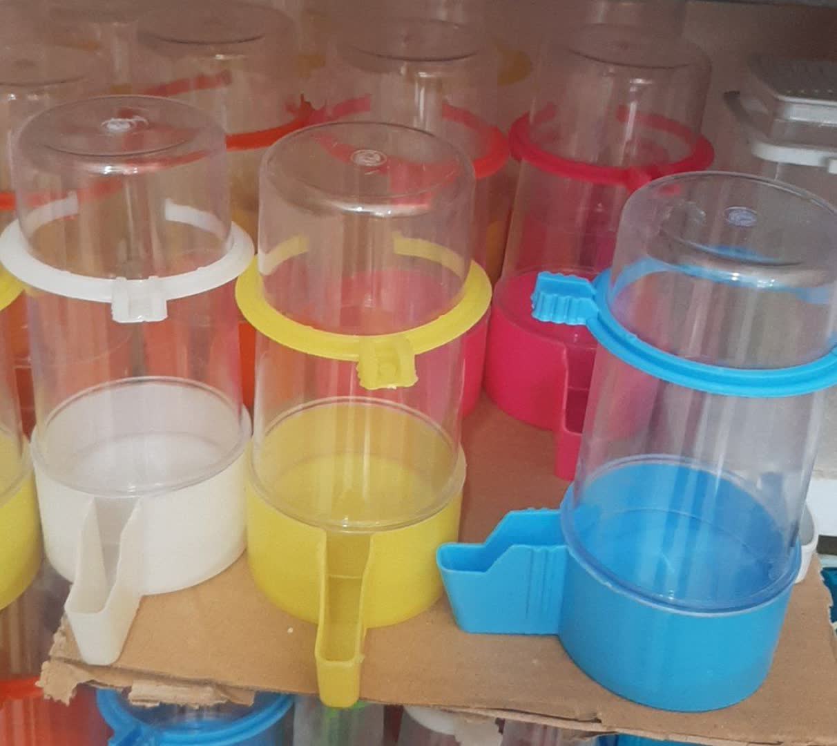 {title}