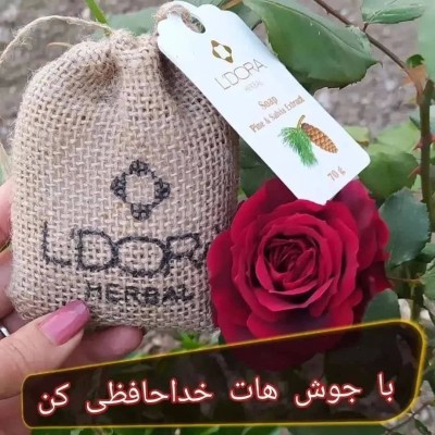 صابون گیاهی کاج و مریم گلی لدورا