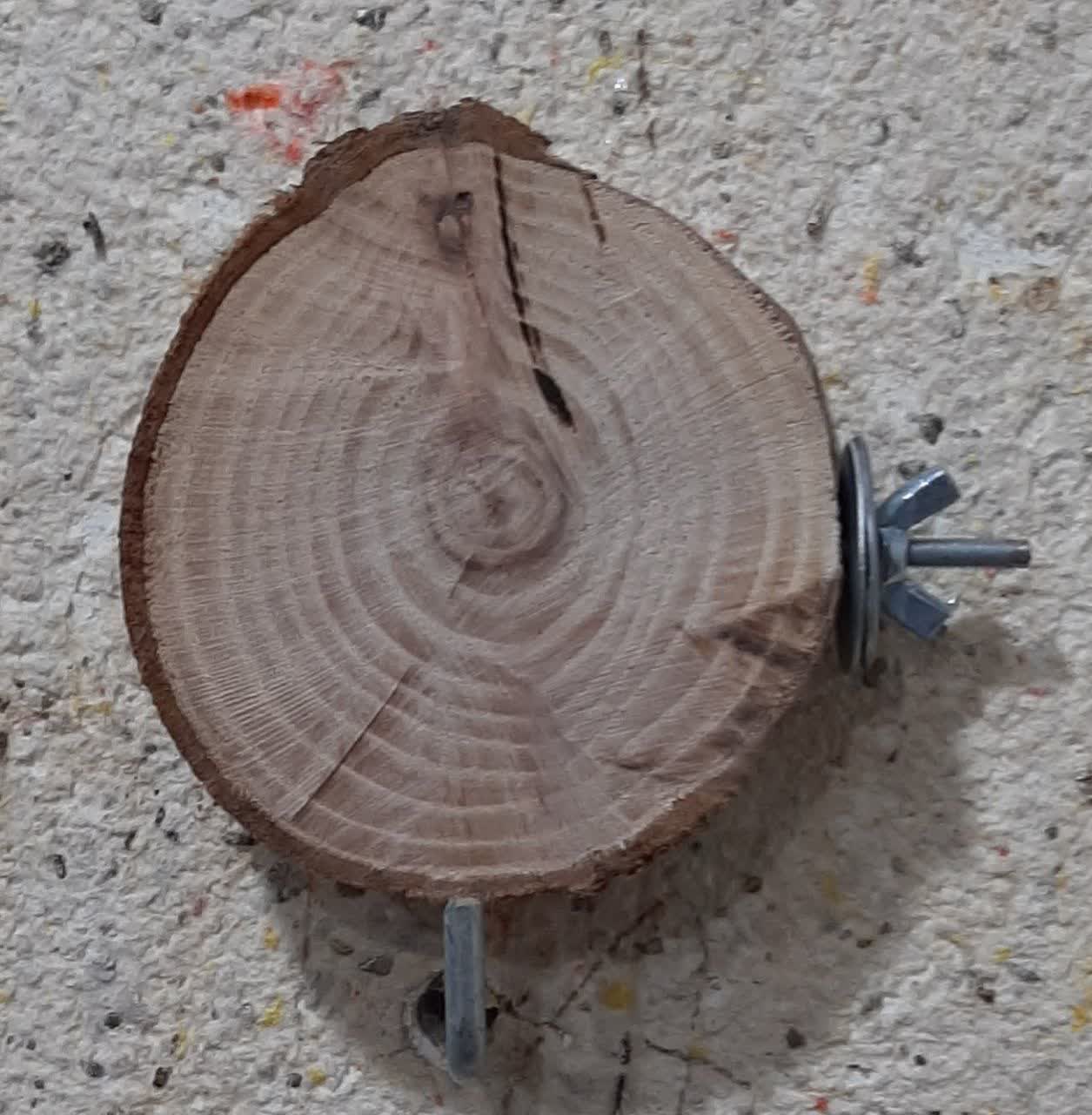 {title}