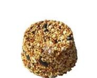 خرید اسنک عسلی صدف آویز درون قفس پرنده | خوراک تشویقی پرندگان | تک و عمده کد g302
