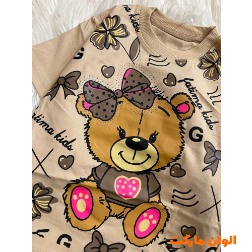 Wholesale-buy-brown-t-shirt-pants-teddy-set