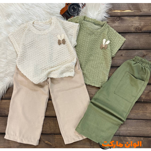 Buy-set-of-t-shirts-and-pants-with-puffs-at-a-reasonable-price-manufactured-children's-clothing