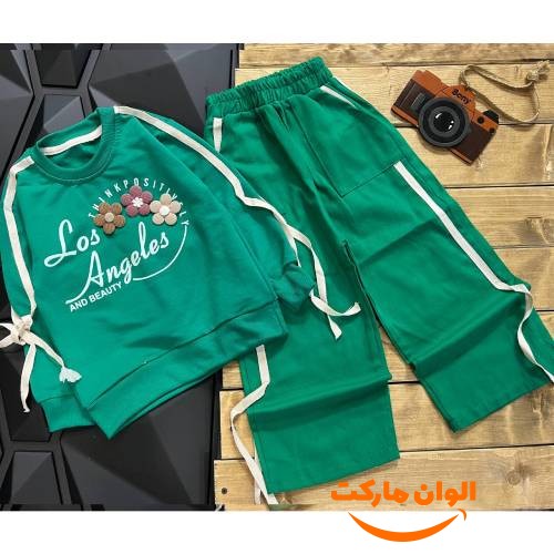 Elephant-blouse-pants-set