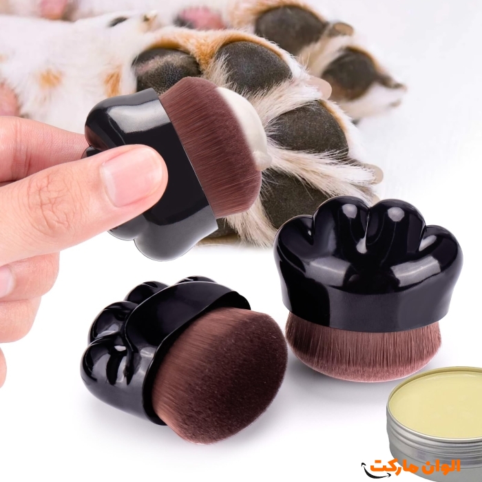 Buy-Blush-Brush-and-Cream-Powder-Code-Z102